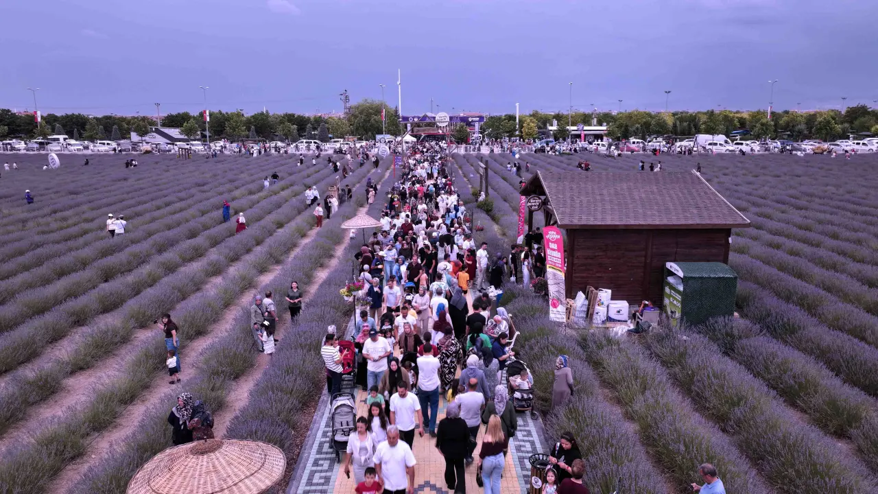 Konya'daki lavanta festivali ziyaretçi rekoru kırdı! 4