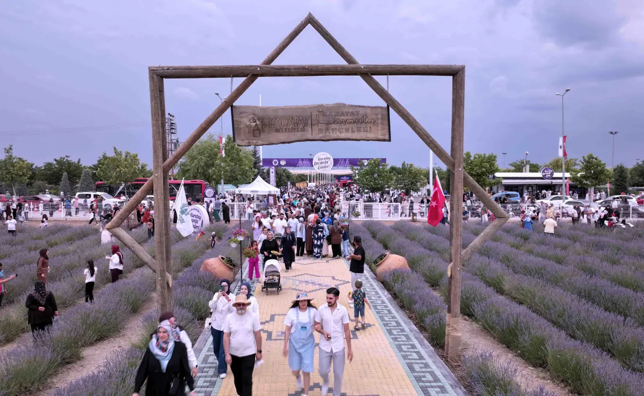 Konya'daki lavanta festivali ziyaretçi rekoru kırdı! 2