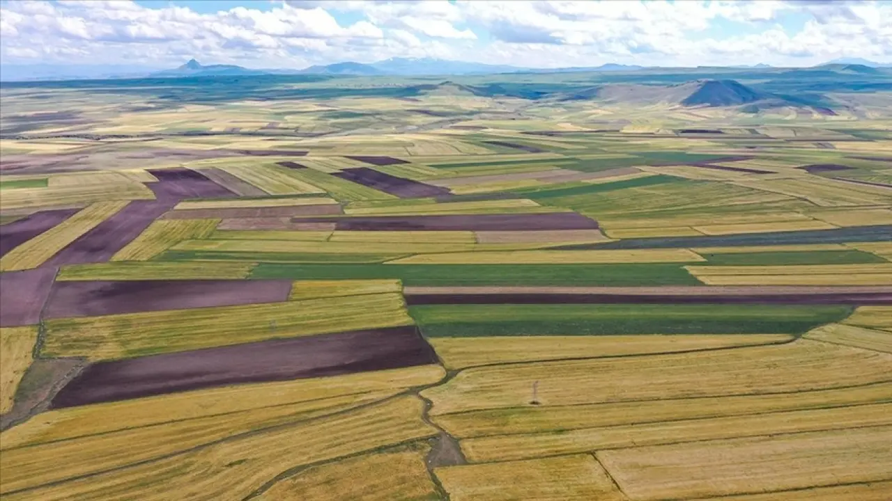 24 İlde 660 arsa satışta 4